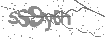 visual captcha
